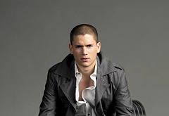 Wentworth Miller sexy male celebs