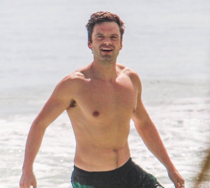 Sebastian Stan bulge beach pics