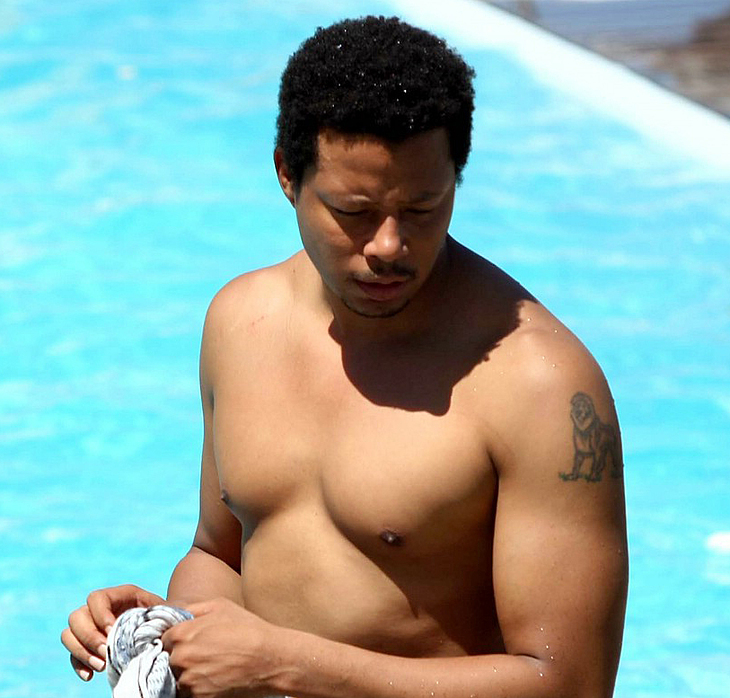 Terrence Howard bulge pics