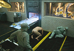 Joel Kinnaman naked movie scenes