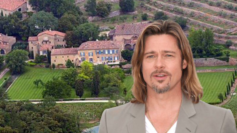 Angelina Jolie has sold her stake in the winery. Brad Pitt is unhappy and sued