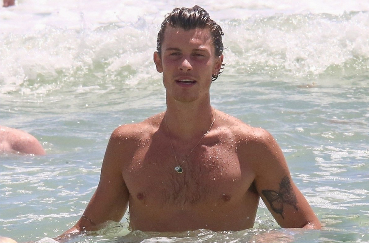 Shawn Mendes flaunts his wet torso on the beach