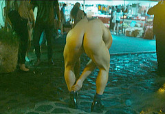 Conor Mcgregor Nude Ass in Road House