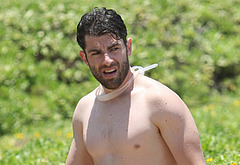 Max Greenfield shirtless