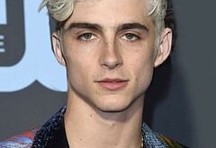 Timothe Chalamet sexy