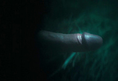 Malte Gardinger nude penis