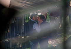 Tom Welling gay kiss