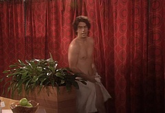 Hamish Linklater in The New Adventures Of Old Christine