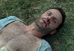 Andrew Lincoln nude photo collection