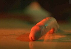 Nolan Gerard Funk nude scenes