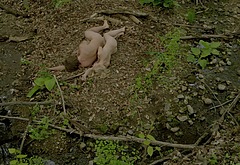 Greyston Holt nude scene