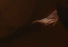 Kyle Soller nude scenes