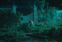 Corey Mylchreest nude and sex scenes