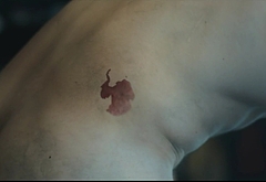 Corey Mylchreest nude and sex scenes