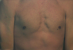 Nuno Gallego nude sex scenes