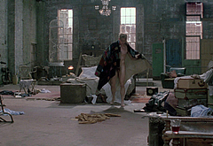 Nikolaj Coster-Waldau frontal nude and sex scenes