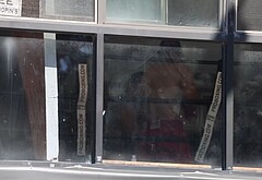 Joshua Jackson Shows Off Boxing Skills Shirtless in Los Angeles