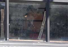 Joshua Jackson Shows Off Boxing Skills Shirtless in Los Angeles