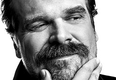 David Harbour shirtless and bulge pics