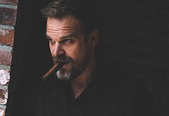 David Harbour shirtless and bulge pics