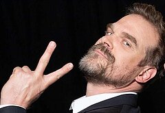 David Harbour shirtless and bulge pics