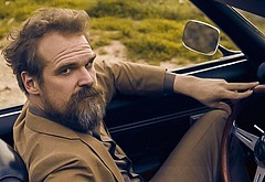 David Harbour shirtless and bulge pics