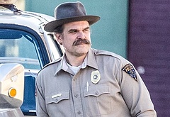 David Harbour shirtless and bulge pics