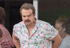 David Harbour shirtless and bulge pics