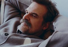 David Harbour shirtless and bulge pics