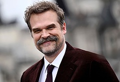 David Harbour shirtless and bulge pics