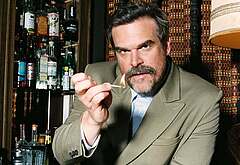 David Harbour shirtless and bulge pics