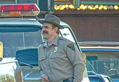 David Harbour shirtless and bulge pics