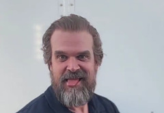 David Harbour shirtless and bulge pics