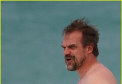 David Harbour shirtless