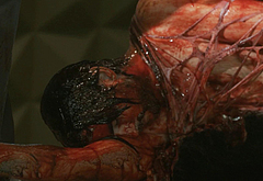 Landon Liboiron nude and sex scenes