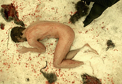 Landon Liboiron nude and sex scenes