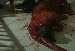 Landon Liboiron nude and sex scenes