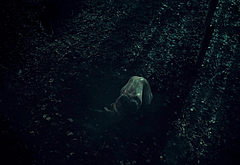 Landon Liboiron nude and sex scenes