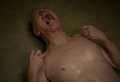 Bryan Cranston nude scenes
