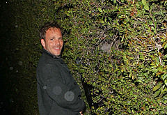 Stephen Dorff nude cock and bulge pics