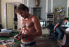 Stephen Dorff frontal nude and sex scenes