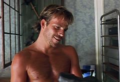 Stephen Dorff frontal nude and sex scenes