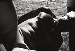 Stephen Dorff frontal nude and sex scenes