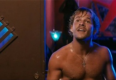 Stephen Dorff frontal nude and sex scenes