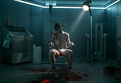 Nico Greetham nude and gay scenes