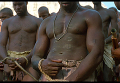 Djimon Hounsou frontal nude and sexy scenes