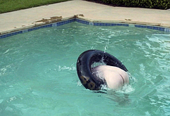 Nick Offerman nude cock and gay sex scenes