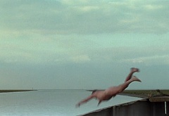 David Morrissey nude and hot sex scenes
