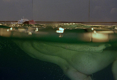 David Morrissey nude and hot sex scenes