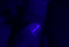 Michael Evans Behling leaked nude dick pics